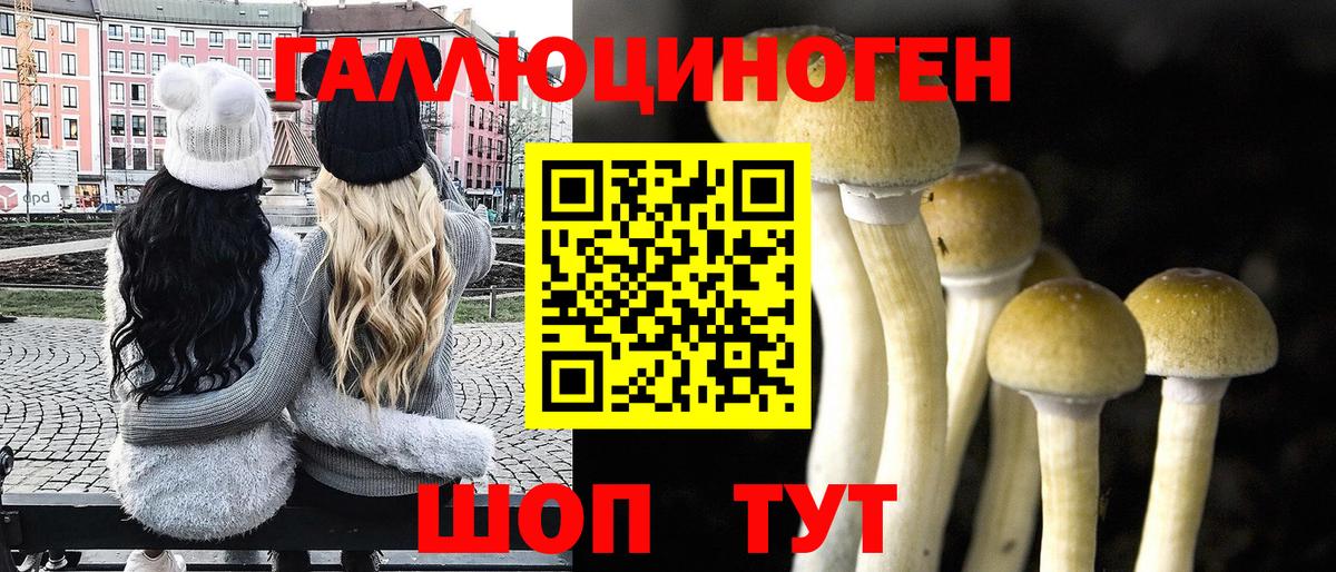Галлюциногенные грибы мицелий  Вход с VPN  Уссурийск  Псилоцибиновые грибы Psilocybine cubensis 