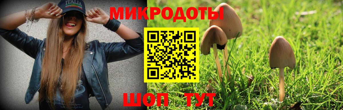 Псилоцибиновые грибы мицелий Уссурийск